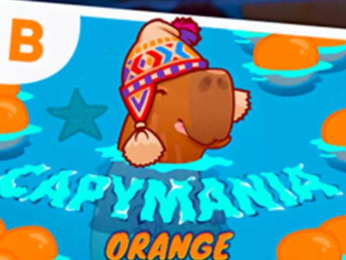 Capymania Orange